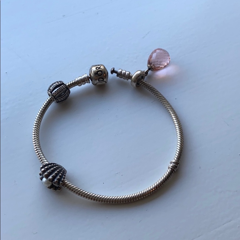 Pandora Bracelet and Three Charms